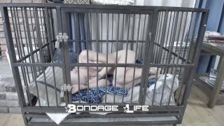 free xxx video 25 elise bdsm bdsm porn | Bondage Life: Nap Time With Greyhound (Release date: Aug. 25, 2021) Bondage | bdsm porn-2