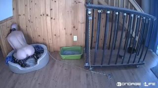 feminist femdom bdsm porn | BondageLife – Cage Time For Greyhound (Extended Edition) | bdsm-2