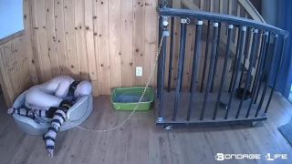 feminist femdom bdsm porn | BondageLife – Cage Time For Greyhound (Extended Edition) | bdsm-5
