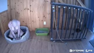 feminist femdom bdsm porn | BondageLife – Cage Time For Greyhound (Extended Edition) | bdsm-7