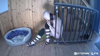 feminist femdom bdsm porn | BondageLife – Cage Time For Greyhound (Extended Edition) | bdsm-8
