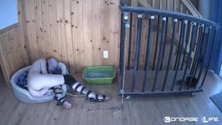 feminist femdom bdsm porn | BondageLife – Cage Time For Greyhound (Extended Edition) | bdsm-9