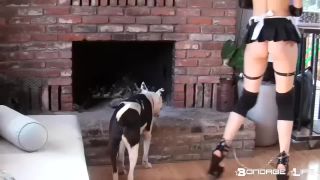 online porn video 26 BondageLife - House Cleaning - Rachel Greyhound on fetish porn curvy femdom-7