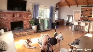 online porn video 26 BondageLife - House Cleaning - Rachel Greyhound on fetish porn curvy femdom-8