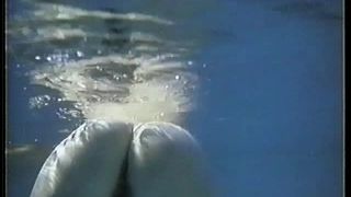 Sexunderwater.com- Bored Games - Vintage Porn-8