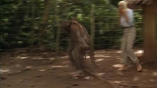 Daryl Hannah in At Play in the Fields of the Lord 1991 DVDRip-5