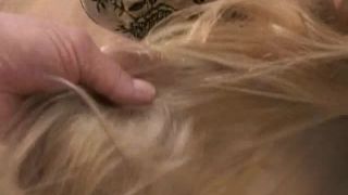 [SiteRip] FritzRyan veronika armchair and pussy licked-8