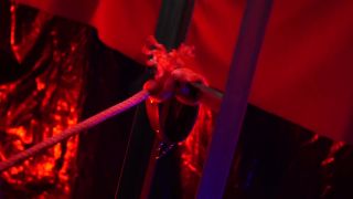 Bye Bye Birdy P2,  on japanese porn -5
