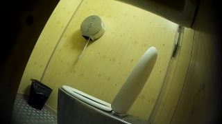 Voyeur Toilet Indoor 0326 – Public Toilet 19 - (Webcam)-2