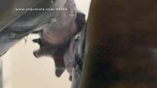 free porn clip 14 Tramplegirls Shoejobs and Cockcrush - A Shoe Fetish Dream Upskirt and Underglass Views On Doc Martens Boots and Nylons Boot Fetish - UltraHD 2160p, tall japanese femdom on femdom porn -6