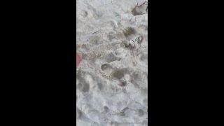 Onlyfans - Explosivetoes - s - 26-10-2019-6