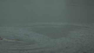 Lucy Walters – Here Alone (2016) HD 1080p!!!-2