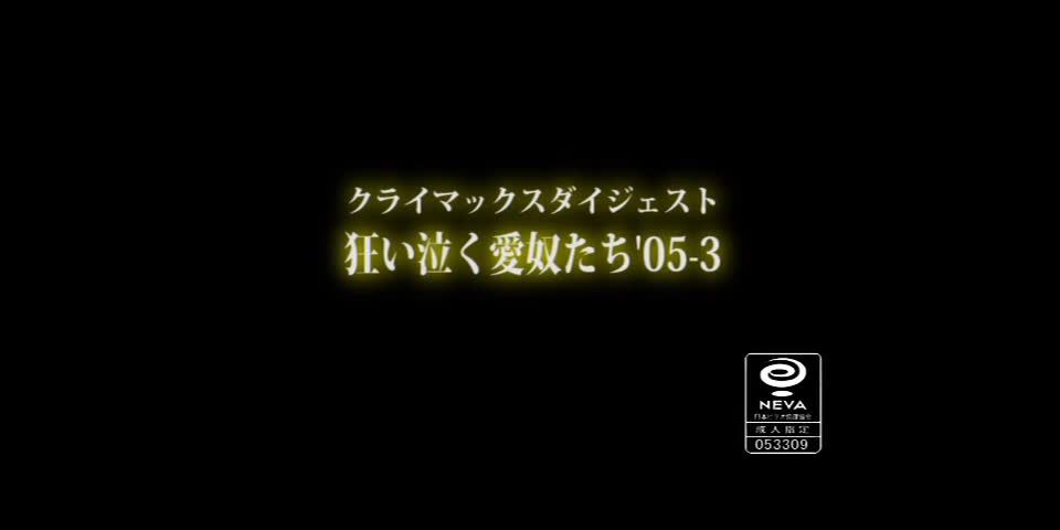 Kihara Ringo, Izumisawa Rei, Shigeta Kayoko, Haduki Yuuna, Hagiwara Mio, Kikuma Hijiri, Sakurada Sakura, Nakayama Noriko, Meguro Yuuko, Kanai Riri, Sakura Koume ADV-R0147 05-Three Of Us Cry Love Crazy ...