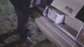 adult video 17  | softcore vintage | vintage-7