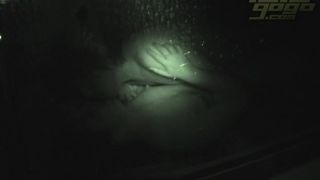 free adult clip 25 sts085_0140_01 on public -8