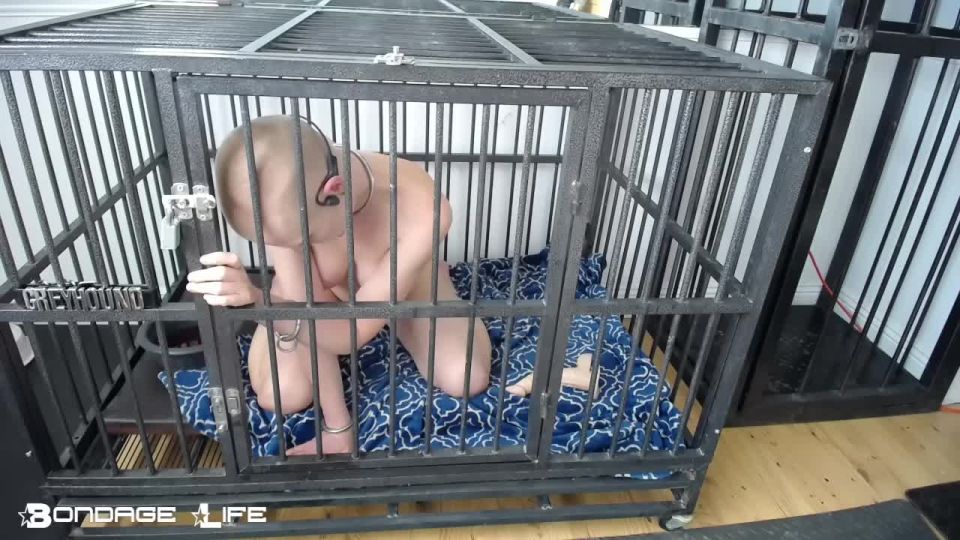 xxx video 1 Bondage Life – Cage Time With Greyhound (Brief Nap Edition), long bdsm videos on bdsm porn 