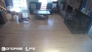 free xxx video 33 stocking fetish Bondage Life – Scrub ‘n Store Rachel Greyhound, bdsm on bdsm porn-1