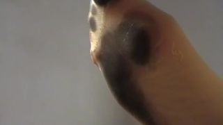 free porn clip 46 Dirty Socks, tall asian femdom on pov -1
