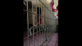 online clip 39 fetish network fetish porn | mistress un 2022-05-15-0h29bztdvrqko9ob5ayct source | femdom-1