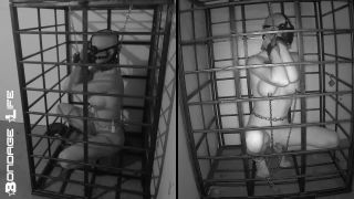 free video 21 boots fetish porn femdom porn | Bondage Life: More Storage Time For Greyhound (Release date: Aug. 24, 2021) Bondage | fetish-0