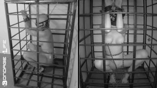 free video 21 boots fetish porn femdom porn | Bondage Life: More Storage Time For Greyhound (Release date: Aug. 24, 2021) Bondage | fetish-1