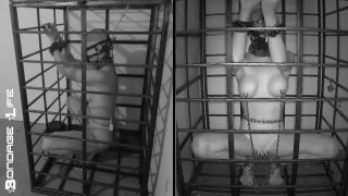 free video 21 boots fetish porn femdom porn | Bondage Life: More Storage Time For Greyhound (Release date: Aug. 24, 2021) Bondage | fetish-3