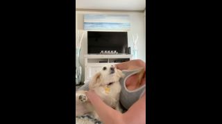 Kari Nautique - kariuncensored () Kariuncensored - stretching this morning before my workout well trying to stretch but my puppy ellie wan 15-03-2021-6