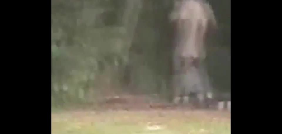 Massive Ebony Groupsex Party At Daytime In A Park black 