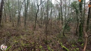 Aurbeaureal42980081 video 2022-01-18 14-00-7