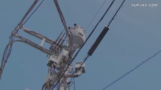 Reducing Mosaic ALDN-391 抱きたい元嫁 川嶋美雲-5