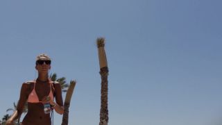 BeachJerk bikini boobs comp 1 full hd (mp4)-9