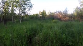 [Amateur] While she sucked at the guy, mosquitoes sucked her)-9