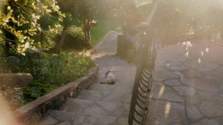 JoyBear Sun Stroke Sun Stroke  Behind The Scenes (mp4)-1