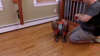 online video 15 bondagejunkies – Bondage Junkies – bjv-1740, bdsm bondage girl on bdsm porn -3