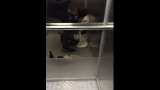 Amateur BlowJob and HandJob Skills 85-1