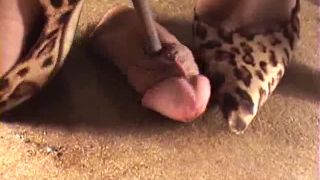 online adult video 25 cotrfla220 - foot worship - feet porn nicole aniston femdom-3