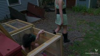 Lock Stock and Smokin Dildos (2018) Sex Clip Video Porn ...-2