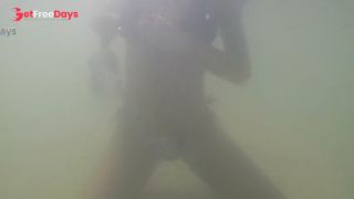 Sandy beach and Tits-7