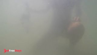 Sandy beach and Tits-9