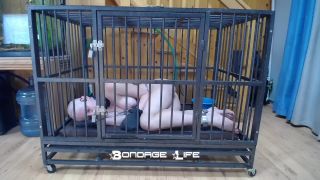 online video 43 Bondage Life – Cage Time With Greyhound, bdsm dance on fetish porn -9