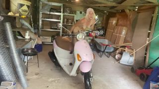 cuteblonde666 Hairy girl - motorbike cleaning - Hairy-7