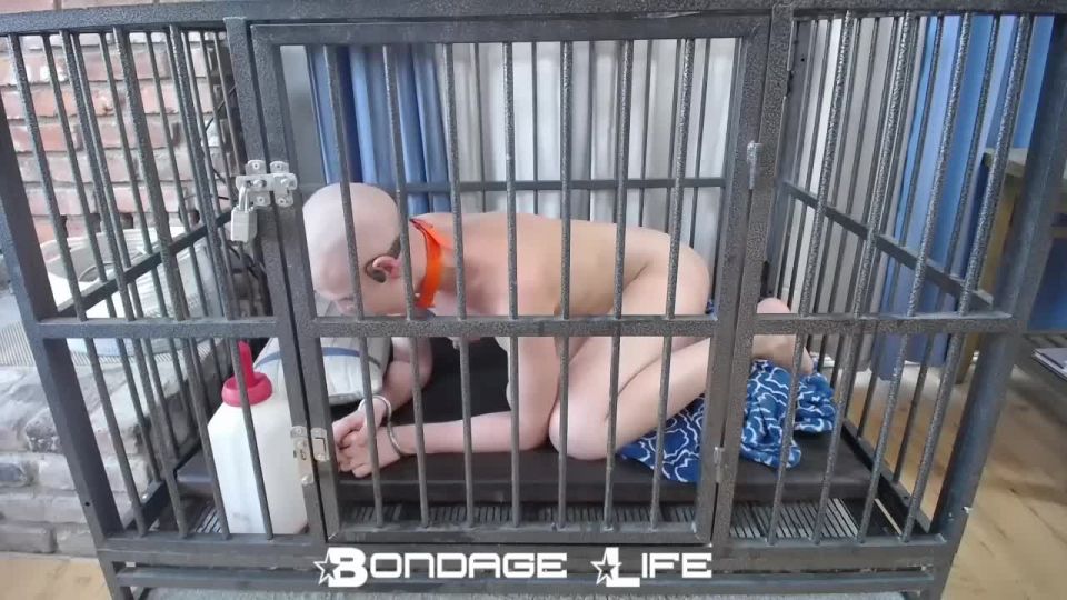 online porn clip 24 femdom feet worship Lounging Around, fetish on bdsm porn