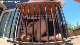 7108 Cage Time - Nature Edition - Rachel Greyhound-3