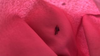 free online video 44 Alicewarmheart - Giant Elf Gives a Little Human a Hot Body Tour - UltraHD 2160p, nylon fetish porn on pov -8