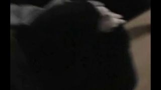692940 He married an asian whore that likes new cocks.-8