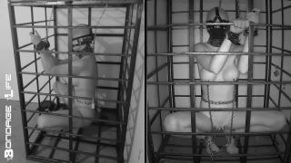 xxx video 1 Bondage Life – More Storage Time For Greyhound | bondage | fetish porn bdsm squirt porn-2