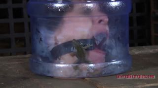 free online video 28 snot fetish porn femdom porn | October 22, 2010 Frogged Down Marina, PD [HD 668.3 MB] | fetish-9