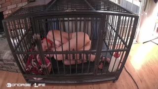 xxx video 33 Bondage Life – Cage Time With Greyhound (Extended), used condom fetish on fetish porn -8