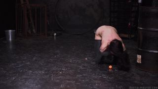 xxx video 46 fetish toys bdsm porn | Brutal Master – Dog Humiliated Animal | fetish-3