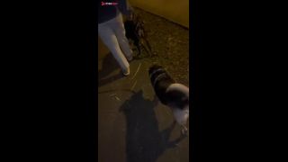 [GetFreeDays.com] Mi vecino llen mi coo de leche Sex Clip November 2022-6